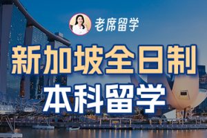新加坡留学本科院校要求：2025 年超全申请指南来啦插图